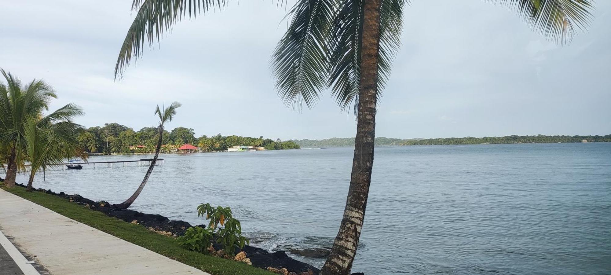Bambu Lounge Bocas Hostel Bocas del Toro Exteriör bild