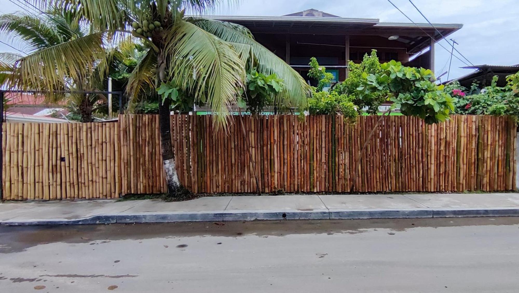 Bambu Lounge Bocas Hostel Bocas del Toro Exteriör bild